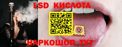 ГАЛЛЮЦИНОГЕННЫЕ ГРИБЫ Новозыбков