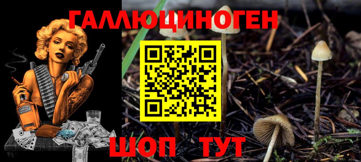 Галлюциногенные грибы MAGIC MUSHROOMS  Вход с VPN  Рубцовск 
