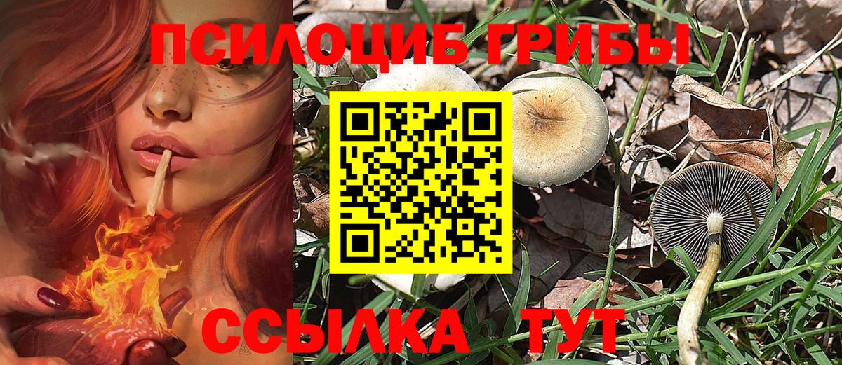 Псилоцибиновые грибы MAGIC MUSHROOMS Рубцовск